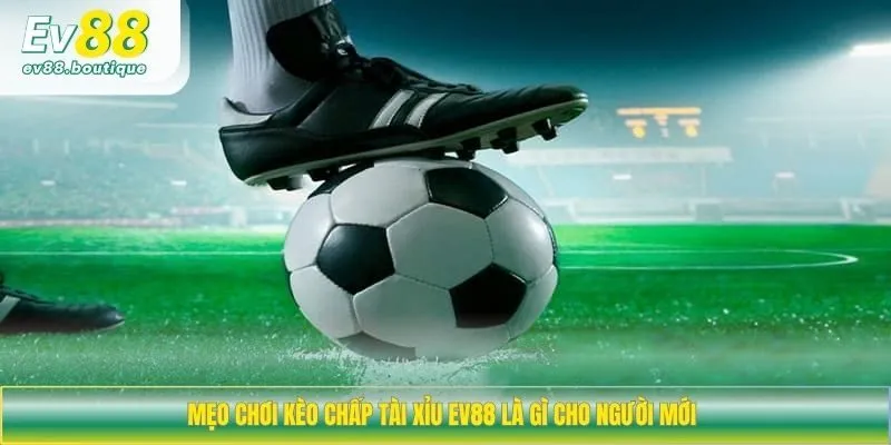 Mẹo chơi kèo chấp tài xỉu EV88 là gì cho người mới