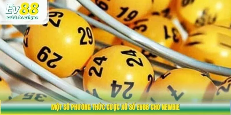 Một số phương thức cược xổ số EV88 cho newbie