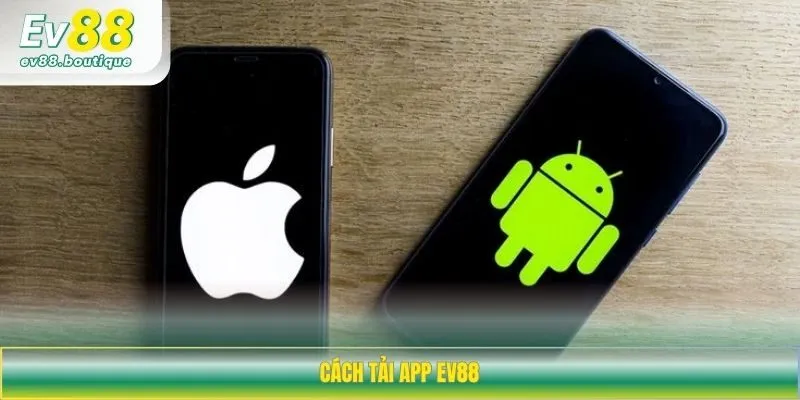 Tải app dễ dàng cho thiết bị di động IOS và Android