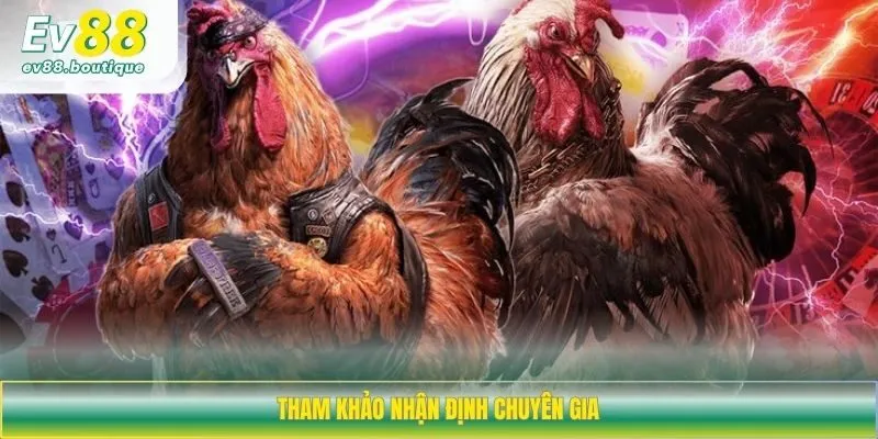 Tham khảo nhận định chuyên gia