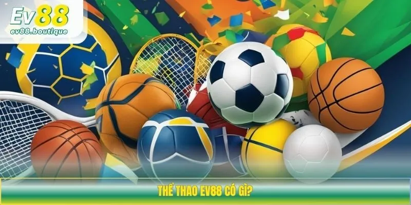 Thể thao EV88 có gì?