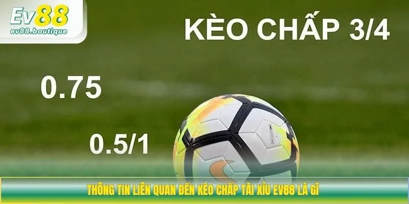Thông tin liên quan đến kèo chấp tài xỉu EV88 là gì